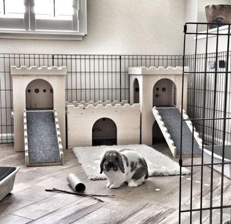 Duck Cage Ideas Indoor, Bunny Cages Aesthetic, Aesthetic Bunny Cage Indoor, Rabbit Set Up Indoor Aesthetic, Bunny House Ideas, Rabbit Pen Ideas, Rabbit House Diy, Diy Bunny House, Aesthetic Bunny Cage