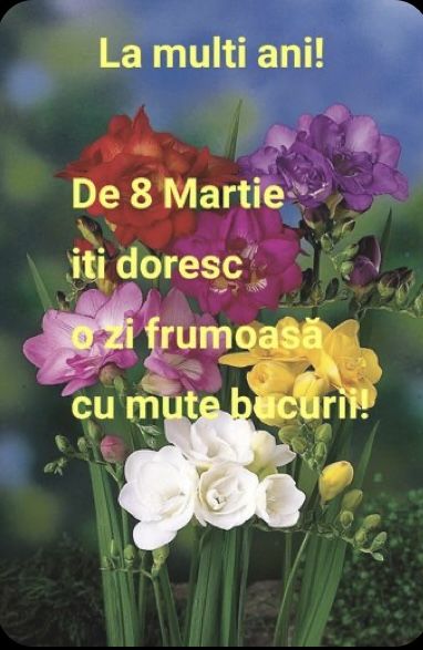 La Multi Ani De 8 Martie, Romanian Memes, Clara Alonso, 8 Martie, Flower Arrangements, Flowers, Floral