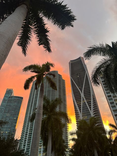 sunset,miami,Fl. Miami Sunset, Cute Home Screen Wallpaper, Miami Vacation, Miami Club, Cute Home Screens, Miami Life, Picture Places, Night Vibes, Future City