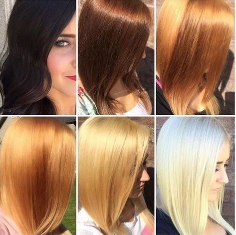 Dark To Light Hair, Black To Blonde, Hair Stages, Black To Blonde Hair, Hair Bleaching, Salon Hair Color, Going Blonde, Color Highlights, Costume Noir