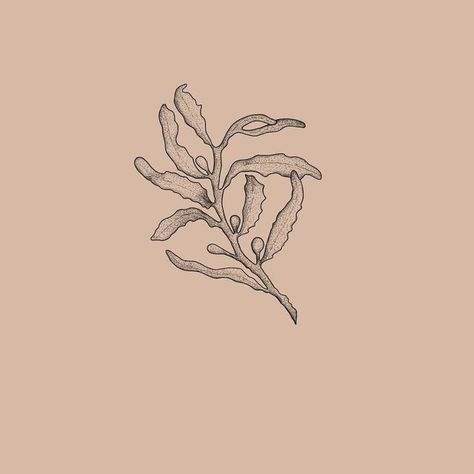 Seaweed Tattoo Design, Dainty Doodles, Kelp Tattoo, Seaweed Tattoo, Moomin Tattoo, Coral Tattoo, Insta Tattoo, Book Opening, Tattoos 2023