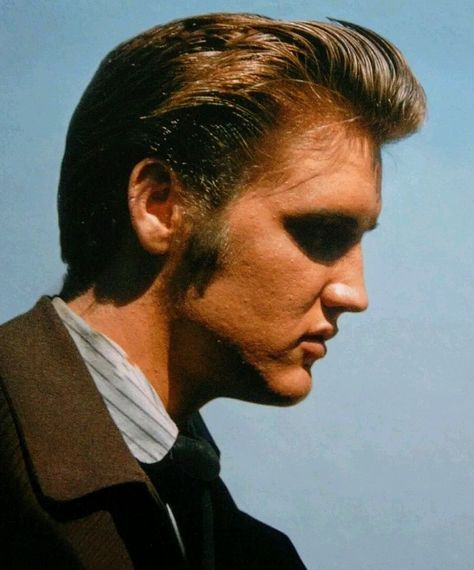 Elvis Hairstyle, Elvis Fashion, Elvis The Movie, Elvis Love Me Tender, Debra Paget, Elvis Presley Family, Elvis Pictures, Little Richard, Young Elvis