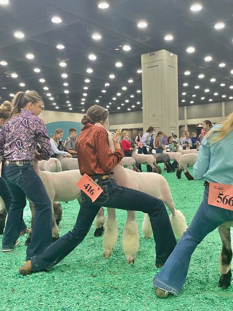 Lamb Show Outfits, Livestock Showing Hairstyles, Showing Outfits Livestock, Livestock Hairstyles, Show Ring Outfits Livestock, Sheep Showing Outfits, Ffa Show Outfit, Show Day Hairstyles Livestock, Showing Livestock Outfits