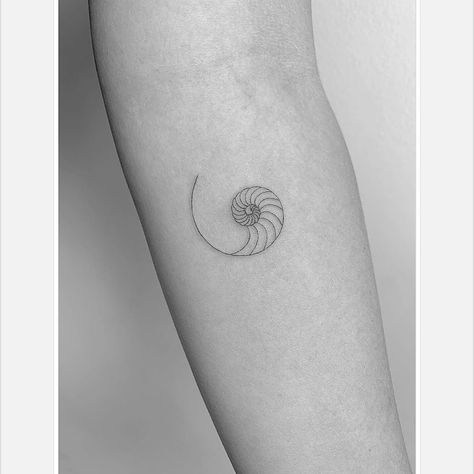 NAUTILUS  #singleneedle #nautilus #shell #ocean #spiral #tattooedgirls #love #sea Fibonacci Spiral Tattoo, Nautilus Tattoo, Camera Tattoo Design, Fibonacci Tattoo, Astronomy Tattoo, Nape Tattoo, Spiral Tattoos, Dna Tattoo, Shell Tattoos