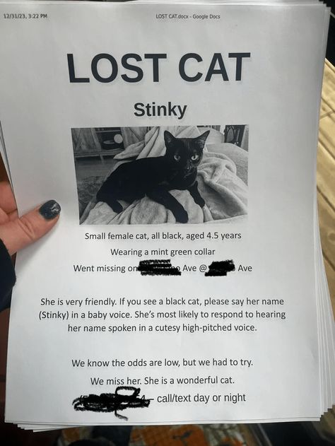 Overjoyed Cat Owner Shares Wholesome Journey of Missing Black Cat Who Miraculously Defied All the Odds and Came Home Missing Cat Poster, I Love People, Kind People, Bad Life, Cat Poster, Worst Day, Life Experience, Cat Posters, Cat Owner