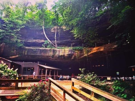 You'll need cowboy boots to trek to this old-fashioned saloon that’s nestled in a giant natural cave. Tuscumbia Alabama, Natural Cave, Unique Restaurants, Natural Rock, Archaeological Site, Drinking Beer, Adventure Awaits, Travel Ideas, Places To See