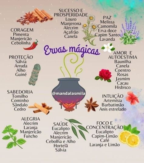 Spirit Magic, Tarot Significado, Nature Witch, Magia Das Ervas, Wiccan Spells, Smudge Sticks, Green Witch, Natural Herbs, Stitch Disney