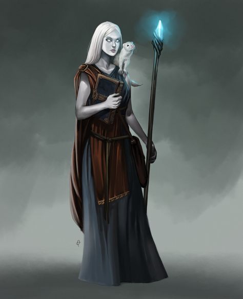 ArtStation - Nyx The Mage, Dan Ramos Fantasy Art Ideas, Enchantment Magic, Snow Elf, The Mage, Roleplay Characters, Fantasy Portraits, Fantasy Races, Dungeons And Dragons Characters, Fantasy Warrior