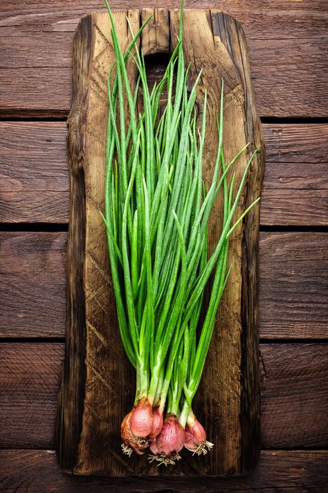 How To Grow Green Onions In Your Indoor Garden! Onions From Seed, Grow Green Onions, Cut Diet, Ingredient Kitchen, Onion Garden, Rustic Salad, Grow Onions, Green Onions Growing, Design Garden Ideas