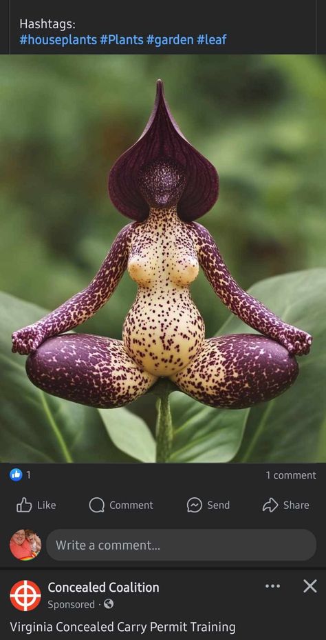 Weird Plants Unusual Flowers, Pretty Flowers Pictures, Red Orchids, Strange Flowers, Weird Plants, Topiary Garden, Rose Flower Pictures, Unusual Plants, Unusual Flowers