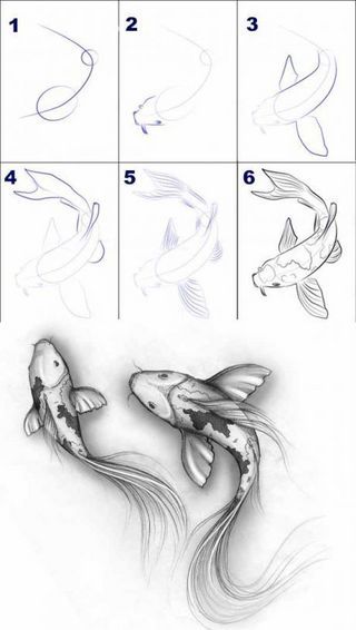 DESSINER | L'Atelier de Jojo | Bloglovin’ Draw Koi Fish, Easy Pencil Drawings, Men Tattoos, Couple Drawing, Pencil Drawings Easy, Fish Drawings, It Is, Pencil Art Drawings, Art Sketch