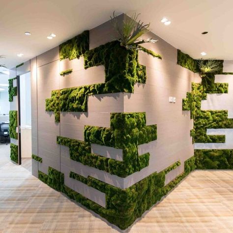 @companyinteriors2 posted to Instagram: Link in My Bio  -> @company.interiors As we go back to school and get our home offices back to ourselves why not consider a beautiful maintenance free moss wall or foliage frame made out of preserved moss and plants. Requires no maintenance and brings nature into our homes and classrooms. Create your own WOW wall today or even a calm corner. #mosswalls #homeoffice #naturewalls #natureinteriors #wowwall #preservedplants #interiordesign #classroomdesign #nat Interior Landscaping, Moss Frame, Plants Classroom, Artificial Grass Wall, 3d Wall Tiles, Wood Wall Art Diy, Moss Wall Art, Go Back To School, Moss Art