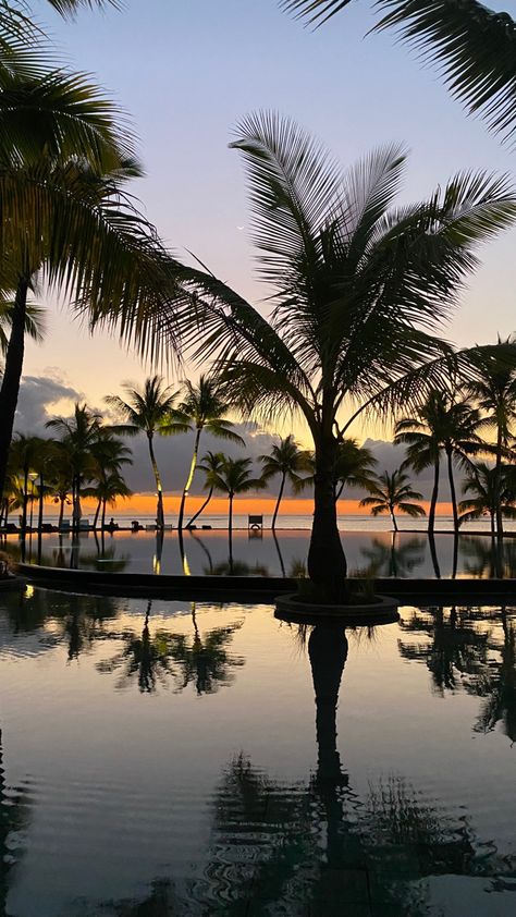 Vacation Aesthetic Pictures, Mauritius City, Sunset Aesthetic Pictures, Mauritius Aesthetic, Hotel Sunset, Pool Luxury, Vacation Aesthetic, Aesthetic Sunset, Sunset Aesthetic