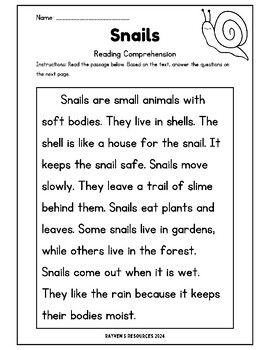 Are your students working on their reading comprehension? Are they learning about snails? This resource is perfect for you! Made for kindergarten and first-grade students. Comes with 3 different reading passages, 6 pages total. Comprehension Passages 1st Grade, Teaching Text Evidence, Reading Comprehension Passages Free, Classroom Setup Elementary, First Grade Reading Comprehension, Reading Comprehension For Kids, Animal Adaptations, Reading Comprehension Questions, Text Evidence