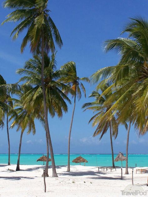 Amazing ocean views from Kinazi Upepo Beach Resort, Paje, Zanzibar #TravelAfrica #Zanzibar Paje Zanzibar, Bright Young Things, Aesthetic Coconut, Stone Town, European City, Island Destinations, Animal Activities, Tourism Industry, Desert Island