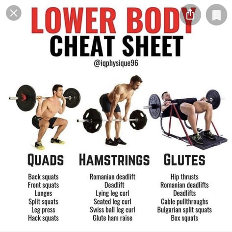 Quads And Hamstrings Workout Gym, Glutes Exercises, Teen Workout Plan, Leg Workouts Gym, Workout Gym Routine, Quads And Hamstrings, Leg Workout Routine, Workout Program Gym, Bench Workout