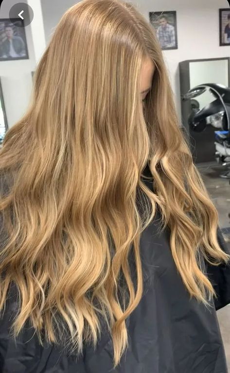 Cabello rubio avellana claro Hairstyles For All Hair Types, Warm Blonde Hair, Honey Blond, Honey Blonde Hair Color, Bombshell Hair, Summer Blonde Hair, Golden Blonde Hair, Dirty Blonde Hair, Honey Blonde Hair