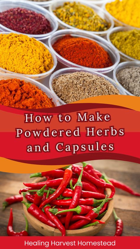 Photos of cayenne peppers and herbal powders Witchy Herbs, Herbs Recipes, Herbal Capsules, Dry Spices, Herbal Medicine Recipes, Herb Recipes, Herbal Recipes, Powder Recipe, Herbal Healing