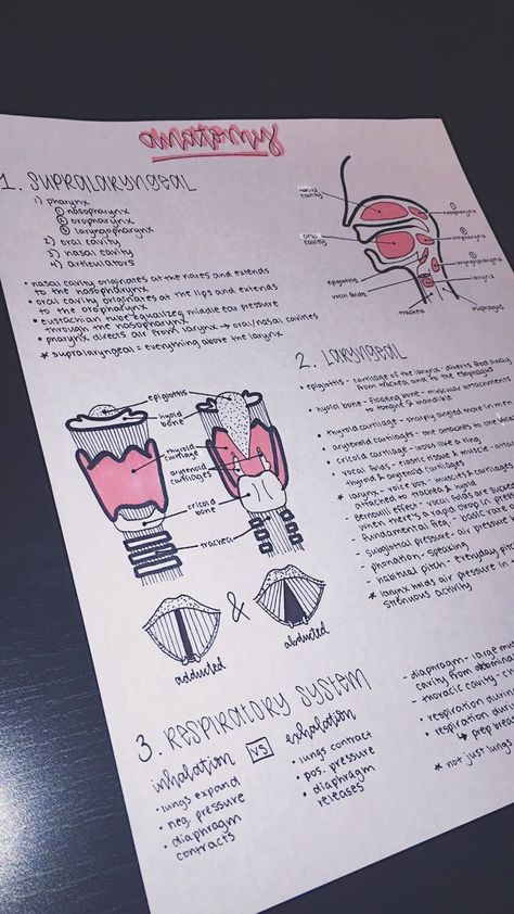 Speech Language Therapy Aesthetic, Slp Study Notes, Slp Vision Board, Speech And Language Therapist Aesthetic, Slp Student Aesthetic, Speech And Language Therapy Aesthetic, Pathology Notes, Pathology Aesthetic, Medical Slp Aesthetic