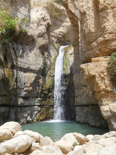 Hidden Falls . Ein Gedi . Israel Psalm 78, Ein Gedi, Haifa, Most Haunted, Holy Land, Nature Reserve, Fantasy Landscape, Amazing Nature, Nature Pictures