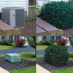 I have been looking for something to cover up that transformer in the back yard! Covering Electrical Boxes In Yard, How To Cover Utility Box In Yard, Hiding Transformer Box In Yard, Covering Utility Boxes In Yard, Plants To Hide Electrical Boxes, How To Cover Electrical Box In Yard, Electric Box Cover Up Ideas Outdoor, Hiding Septic Tank Covers, Outdoor Electrical Box Cover