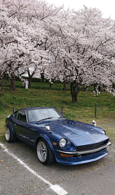 Nissan 240z Fairlady, 240z Wallpaper, Nissan Fairlady Z S30, Datsun 240z Wallpaper, Wangan Midnight Wallpaper, Nissan 280z, Datsun 280z, 240z Datsun, Vintage Racing Poster