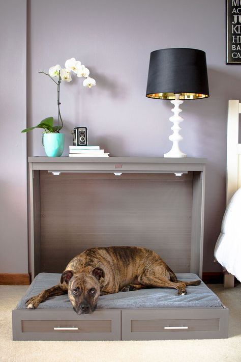 A Handy Fold-Out Murphy Bed For Dogs Dog Bed Hallway, Dog Bed In Garage, Pull Out Dog Bed, Dog Bed Storage Ideas, Dog Bed Tv Stand, Pet Bed Night Stand, Hidden Dog Bed Ideas, Murphy Bed For Dogs, Dog Bed Drawer