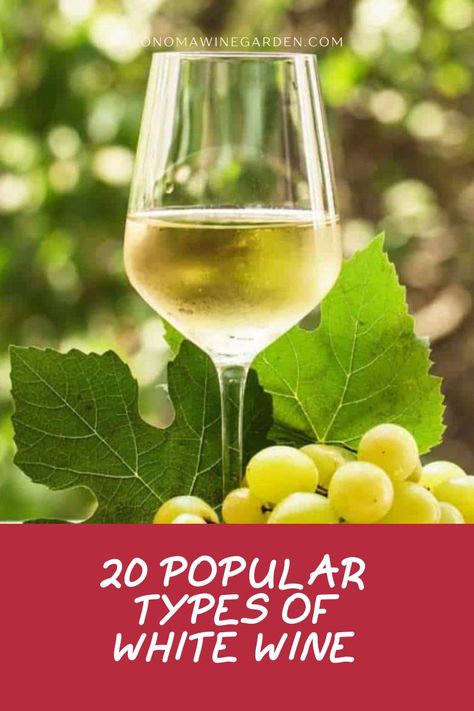 White Wines Guide, Types Of White Wine, Semillon, Sweet White Wine, Chenin Blanc, Pinot Gris, Wine Guide, Types Of Wine, Dry White Wine