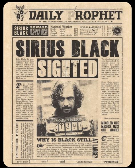 Daily Prophet Sirius Black, Spell Book Diy, Harry Potter Daily Prophet, Winnie Sanderson, Hocus Pocus Book, Daily Prophet, Flyer Poster, Sirius Black, Hocus Pocus