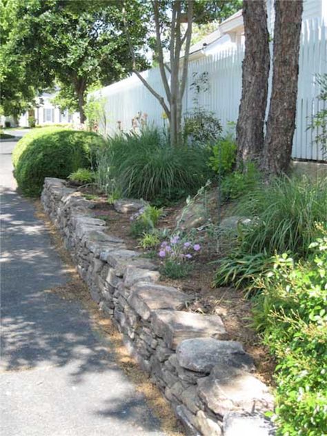 This west facing slope was impossible to deal with. Hot, dry, run off, roots:you name it. So we had a low (24") stone wall built. Then we filled in behind it with topsoil and wow...what a difference. It really enhances the 'hood! Low Stone Wall, Stone Flower Beds, Rock Retaining Wall, Stone Walls Garden, Stacked Stone Walls, Garden Globes, Stone Retaining Wall, Landscaping Retaining Walls, Dry Stone Wall