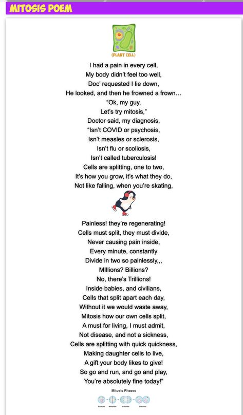 Mr. R.'s fun science poem to help teach about mitosis! Science Poems, Teacher Poems, Plant And Animal Cells, Science Boards, Animal Cell, Biology Teacher, Poems About Life, Plant Cell, Science Topics