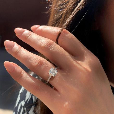 Michael Alan Jewelers on Instagram: �“Look at that fire! 🔥✨” Hidden Halo Engagement Ring, Cushion Cut Moissanite, Moissanite Engagement Ring Solitaire, Types Of Diamonds, Hidden Halo, 14k Gold Ring, Designer Engagement Rings, Halo Engagement Ring, Halo Engagement