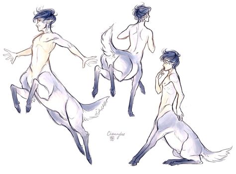 Centaur mythical male reference Centaur Oc, Centaur Art, Anime Centaur, Deer Art, Amazing Drawings, Concept Art Drawing, Creatures Art, Mythical Creatures Art, Fantasy Concept Art