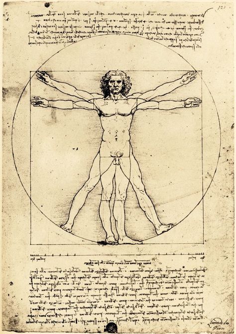 Drawing Book Pdf, Da Vinci Vitruvian Man, Vitruvian Man, Albrecht Durer, Popular Art, Famous Art, Anatomy Art, Human Figure, British Museum