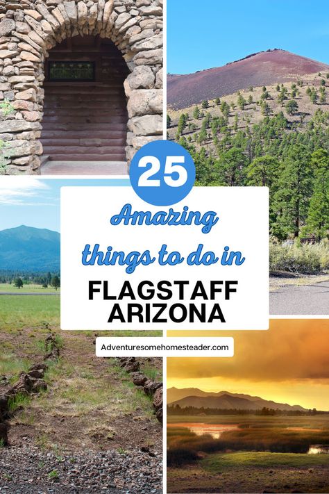 "Discover the wonders of Flagstaff, Arizona! From exploring the historic castle to hiking through breathtaking mountain trails, there's something for everyone. Don't miss the opportunity to witness the unique beauty of the craters and lava flow trails. Whether you're a nature enthusiast or history buff, Flagstaff has it all. Plan your visit today and experience the amazing attractions this charming city has to offer. #Flagstaff #Arizona #Explore #Adventure" Biking Trail, Arizona Trip, Visit Arizona, Flagstaff Arizona, Nature Enthusiast, Dirty 30, Lava Flow, National Parks Usa, Arizona Travel