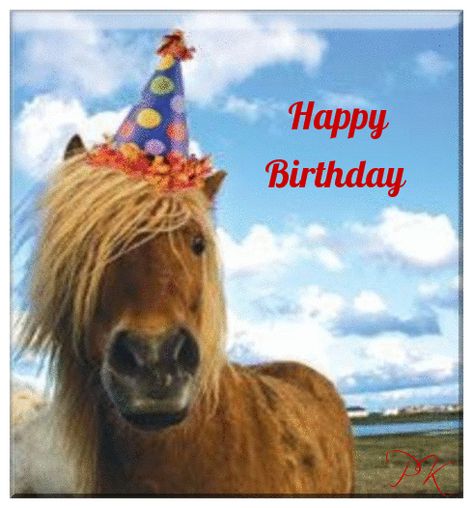 Happy Birthday Horse Birthday Horse, Happy Birthday Nephew, Cute Birthday Wishes, Horse Birthday Parties, Horse Birthday, Happy Birthday Meme, Happy Birthday Funny, Birthday Meme, Very Happy Birthday