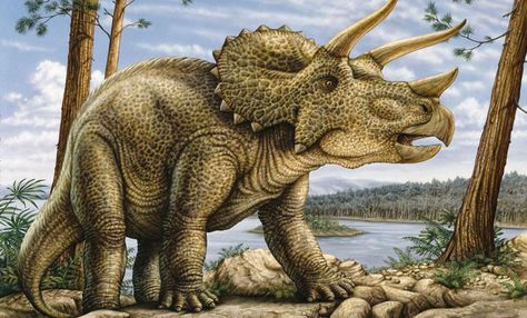 Art illustration - Dinosaurs - Triceratops: (three-horned face) is a genus of dinosaur ceratopsianos ceratópsidos, who lived in the late Cretaceous period, approximately 68 and 66 million years ago, in the Maastrichtian, in what is now North America. He had a large ruff and three horns; big body on four legs and similarities in appearance with the modern rhinoceros,Triceratops is one of the most recognizable of all dinosaurs. Although it shared the landscape with the fearsome Tyrannosaurus Rex. Dinosaur Mural, Dinosaur Museum, Prehistoric Wildlife, All Dinosaurs, Dinosaur Images, Dinosaur Pictures, Dinosaur Illustration, Prehistoric World, Prehistoric Art