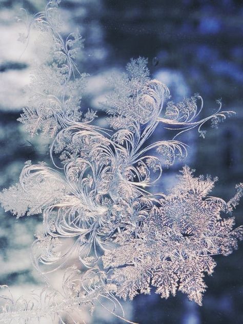 Frost Aesthetic, Ice Aesthetic, Bird Set Free, Ice Magic, Snowflake Photos, Winter Fairy, Winter Frost, Fairy Aesthetic, Magic Aesthetic