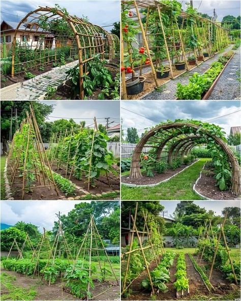 Cucumber Trellis Ideas, Teepee Trellis, Garden Planning Layout, Allotment Ideas, Cucumber Trellis, Trellis Ideas, Patio Pergola, Backyard Vegetable Gardens, Veg Garden