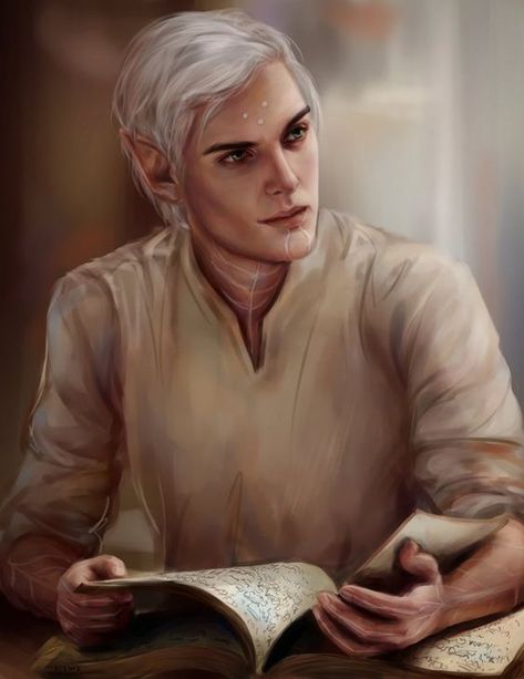 Queen Of Shadows, Elf Characters, Dragon Age 2, Dragon Age Inquisition, Fantasy Male, Throne Of Glass, Arte Fantasy, Fantasy Inspiration, Story Inspiration