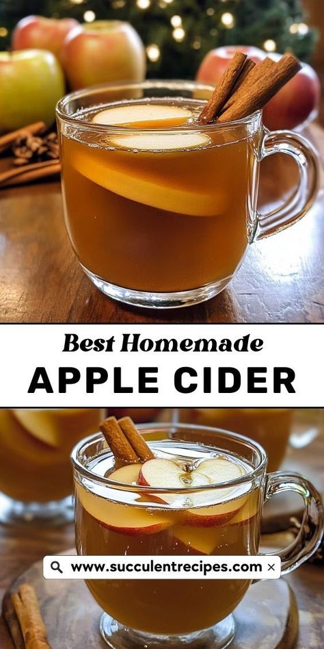 This Spiced Homemade Apple Cider is bursting with the flavors of Christmas! Simmered with cinnamon, cloves, and citrus, it’s the perfect drink to share with loved ones at your holiday gatherings. Apple Cider Kit Gift, Festive Holiday Drinks, Homemade Apple Cider, Diy Snacks, Holiday Drink, Festive Drinks, Homemade Apple, Recipe Boards, Fresh Apples