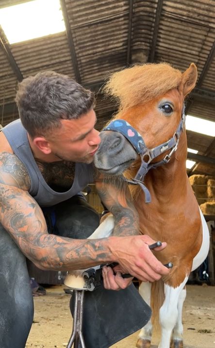 Monday started off a bit rough for some of us (the horse show hangover is real!), but the week is looking up with this post! 

Let’s all take a moment to meet Samuel Wolfenden of SW Farriers -- he's putting the hot back in hot shoeing! 🔥🔥🔥 Bull Riders, Camera Shy, Horse Show, Sport Horse, Talking Heads, Small Baby, Strength Workout, Horse Love, Fav Celebs