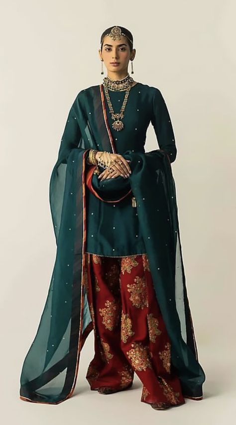 Pakistani Summer Dresses, Pakistani Gowns, Amaryllis Painting, Velvet Pakistani Dress, Cotton Suit Designs, Haldi Dress, Combination Dresses, Dress Pakistani, Traditional Suit