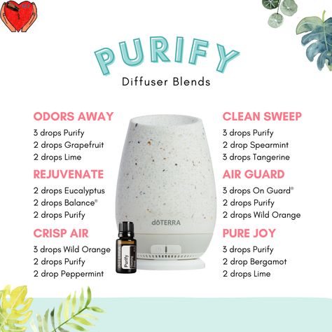 Doterra Oils Recipes, Doterra Blends, Doterra Diffuser, Doterra Diffuser Blends, Doterra Essential Oils Recipes, Essential Oil Diffuser Blends Recipes, Essential Oil Diffuser Recipes, Oil Diffuser Recipes, Essential Oil Mixes