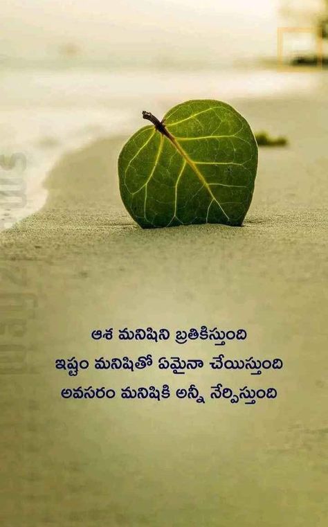 # Telugu quote Best Husband Quotes, People Quotes Truths, Bible Emergency Numbers, Telugu Inspirational Quotes, Phone Quotes, Devotional Reading, Meaningful Pictures, Funny Questions, Cute Quotes For Life