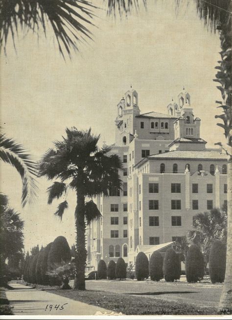 Don Cesar Hotel, The Don Cesar, Don Cesar, Pink Hotel, European Plan, Hotel Exterior, Dream Hotels, Miniature Golf Course, Pink Palace