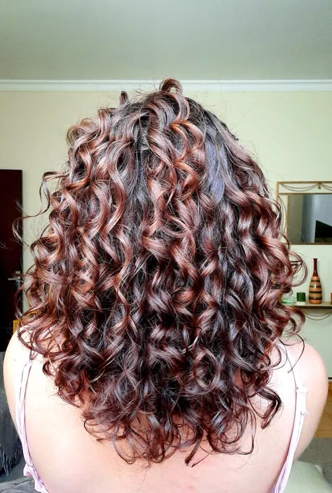 Brown With Red Undertones Curly Hair, Curly Hair With Dyed Ends, Curly Hair Lowlights Brown Curls, Curly Lowlights, Curly Hair Red Highlights, Red Highlights In Brown Hair Curly, Red Highlights Curly Hair, Curly Hair Lowlights, Red Lowlights In Brown Hair