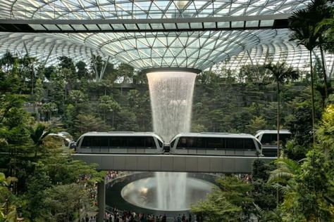 Invest in Your Best Vision for Our Future - Retire Before Dad Airport Architecture, Singapore Airport, Moshe Safdie, Singapore Changi Airport, Changi Airport, Indoor Waterfall, Sunflower Garden, Trees Nature, City Pictures