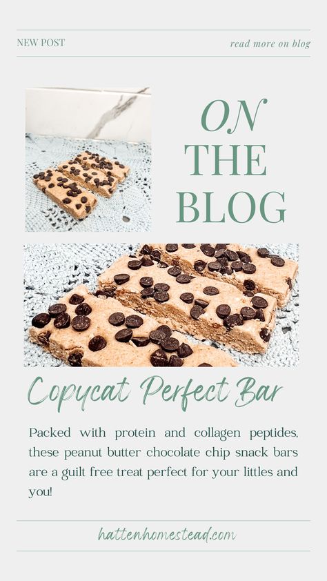 These days, we're all looking to cut our grocery bill! If your kiddos are anything like mine, they can seriously devour some peanut butter bars. Here, we've made our own healthier and cheaper options. Peanut Butter Bar, Peanut Butter Bars Recipe, Perfect Bar, Butter Bar, Butter Bars, Peanut Butter Bars, Bar Recipe, Peanut Butter Chocolate Chip, Snack Chips