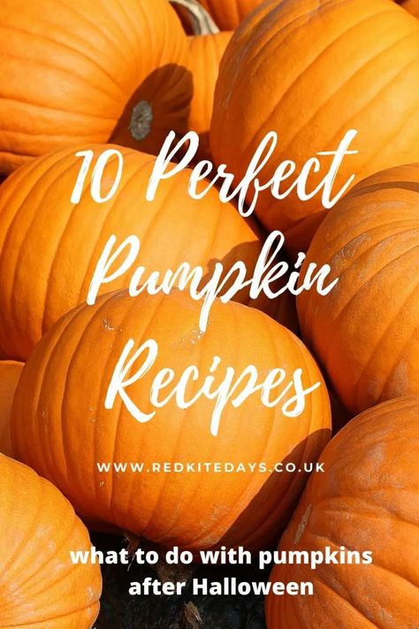 Jack O Lantern Pumpkin Recipes, Carving Pumpkin Recipes, Jack O Lantern Recipes, What To Do With Pumpkins After Halloween, What To Do With A Pumpkin, Pumpkin Recipes With Real Pumpkin, What To Do With Pumpkins, Tasty Family Meals, Healthy Filling Breakfast